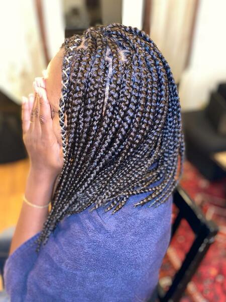 salon de coiffure afro tresse tresses box braids crochet braids vanilles tissages paris 75 77 78 91 92 93 94 95 YWJIQFZE