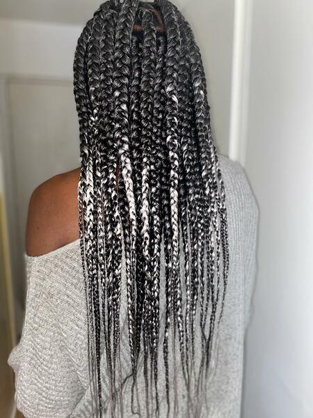 salon de coiffure afro tresse tresses box braids crochet braids vanilles tissages paris 75 77 78 91 92 93 94 95 RTFNLGYJ