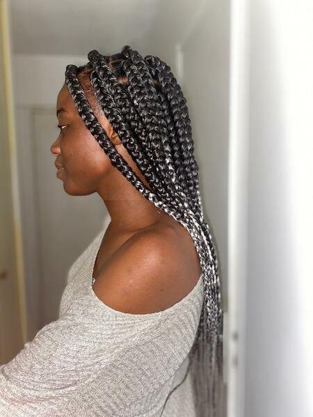 salon de coiffure afro tresse tresses box braids crochet braids vanilles tissages paris 75 77 78 91 92 93 94 95 GAVPSYGK