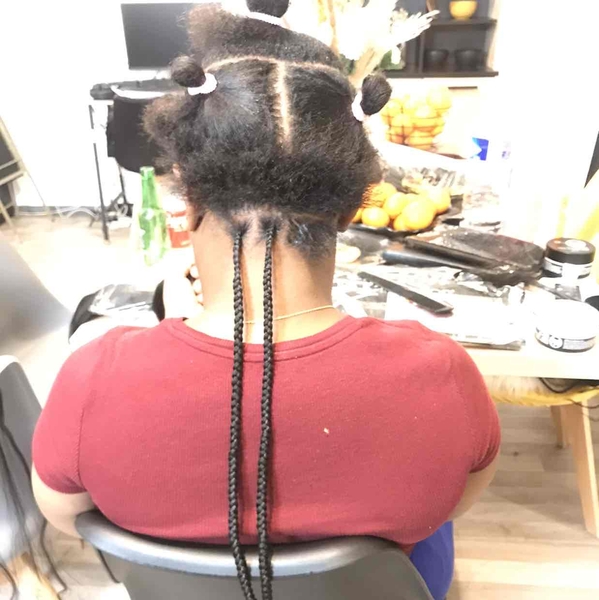 salon de coiffure afro tresse tresses box braids crochet braids vanilles tissages paris 75 77 78 91 92 93 94 95 APIFVRPR