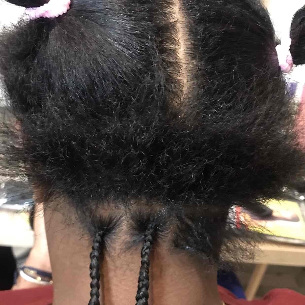 salon de coiffure afro tresse tresses box braids crochet braids vanilles tissages paris 75 77 78 91 92 93 94 95 NTLAYJBH