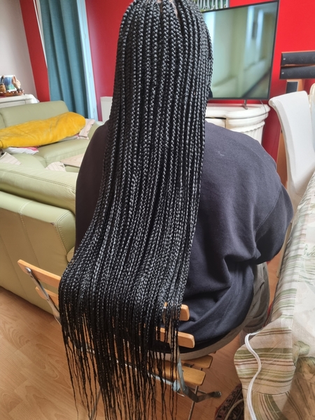 salon de coiffure afro tresse tresses box braids crochet braids vanilles tissages paris 75 77 78 91 92 93 94 95 NDHCNGSQ