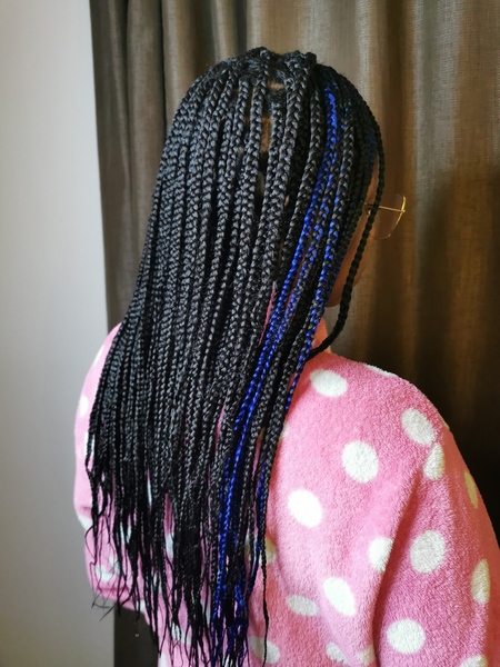 salon de coiffure afro tresse tresses box braids crochet braids vanilles tissages paris 75 77 78 91 92 93 94 95 UXJWDJEJ