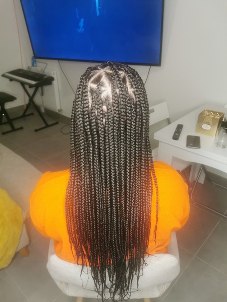 salon de coiffure afro tresse tresses box braids crochet braids vanilles tissages paris 75 77 78 91 92 93 94 95 TNUTJPYE