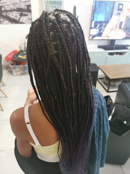 salon de coiffure afro tresse tresses box braids crochet braids vanilles tissages paris 75 77 78 91 92 93 94 95 IHYLUQWC