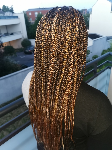salon de coiffure afro tresse tresses box braids crochet braids vanilles tissages paris 75 77 78 91 92 93 94 95 MPYQAJPF