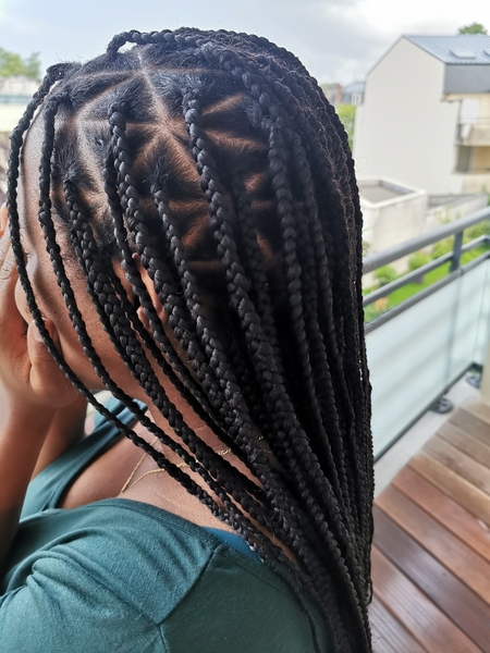 salon de coiffure afro tresse tresses box braids crochet braids vanilles tissages paris 75 77 78 91 92 93 94 95 XPQXHVWH