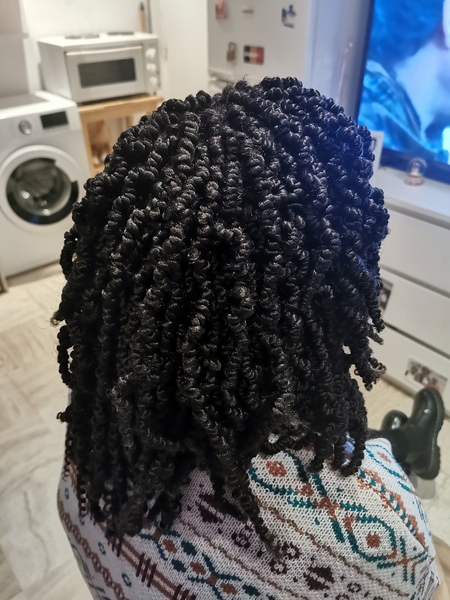 salon de coiffure afro tresse tresses box braids crochet braids vanilles tissages paris 75 77 78 91 92 93 94 95 FKVGWRQP