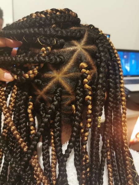 salon de coiffure afro tresse tresses box braids crochet braids vanilles tissages paris 75 77 78 91 92 93 94 95 CXBBINLK