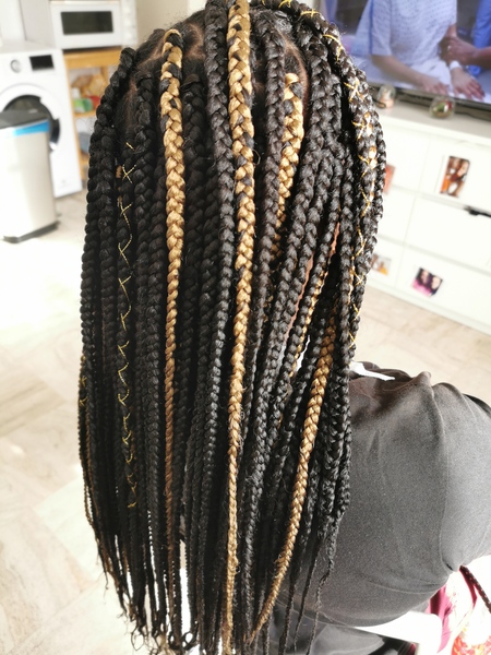 salon de coiffure afro tresse tresses box braids crochet braids vanilles tissages paris 75 77 78 91 92 93 94 95 BZMFAUUN