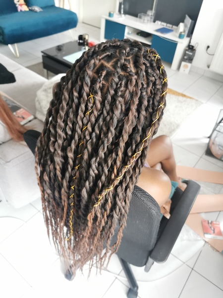 salon de coiffure afro tresse tresses box braids crochet braids vanilles tissages paris 75 77 78 91 92 93 94 95 ZVRIGAFW