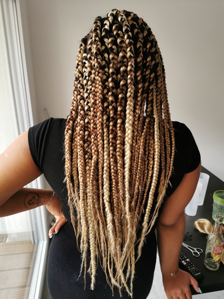 salon de coiffure afro tresse tresses box braids crochet braids vanilles tissages paris 75 77 78 91 92 93 94 95 KLFEJANP