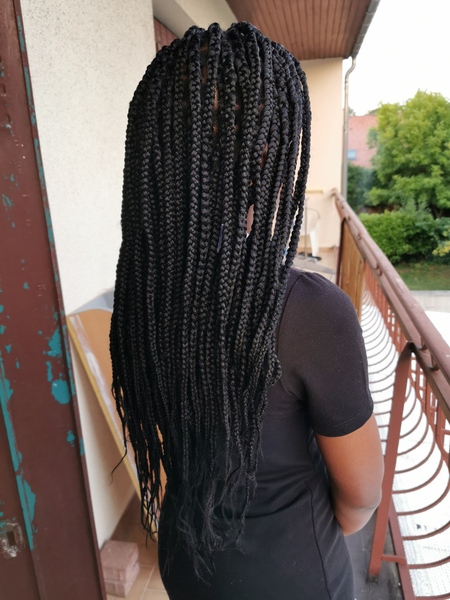 salon de coiffure afro tresse tresses box braids crochet braids vanilles tissages paris 75 77 78 91 92 93 94 95 GMNZALHS
