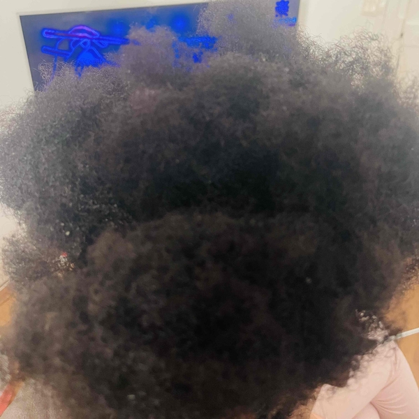 salon de coiffure afro tresse tresses box braids crochet braids vanilles tissages paris 75 77 78 91 92 93 94 95 SJRSPQXM