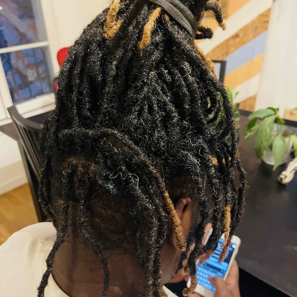 salon de coiffure afro tresse tresses box braids crochet braids vanilles tissages paris 75 77 78 91 92 93 94 95 BQGKPUWD