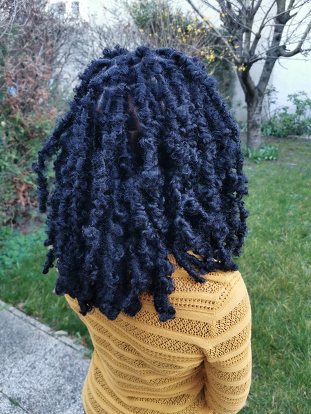 salon de coiffure afro tresse tresses box braids crochet braids vanilles tissages paris 75 77 78 91 92 93 94 95 EYYENQZP