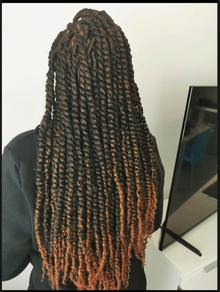 salon de coiffure afro tresse tresses box braids crochet braids vanilles tissages paris 75 77 78 91 92 93 94 95 WOOBTWTW