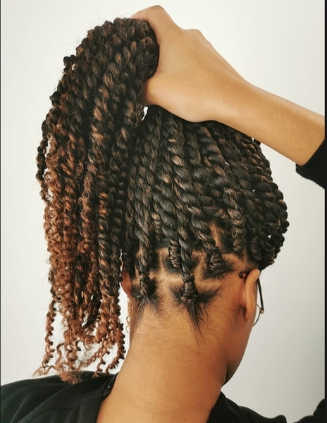 salon de coiffure afro tresse tresses box braids crochet braids vanilles tissages paris 75 77 78 91 92 93 94 95 YACVTNMJ
