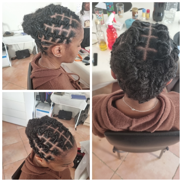 salon de coiffure afro tresse tresses box braids crochet braids vanilles tissages paris 75 77 78 91 92 93 94 95 YHVZYYZR