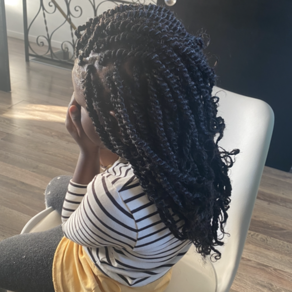 salon de coiffure afro tresse tresses box braids crochet braids vanilles tissages paris 75 77 78 91 92 93 94 95 EYQBZYYV