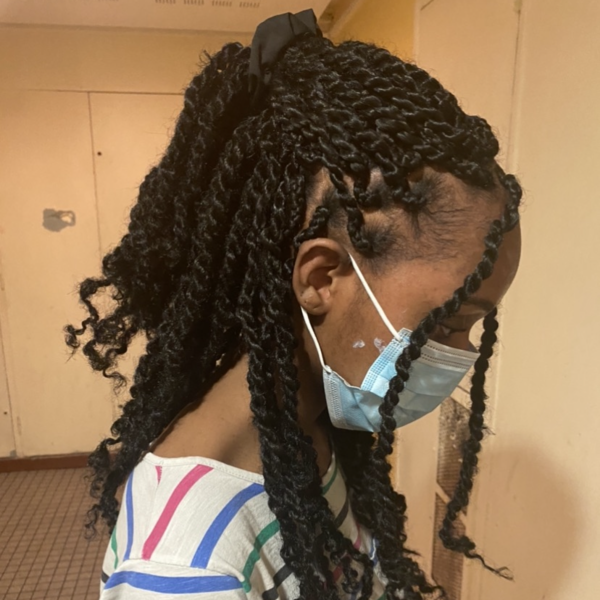 salon de coiffure afro tresse tresses box braids crochet braids vanilles tissages paris 75 77 78 91 92 93 94 95 HMDXHRTA