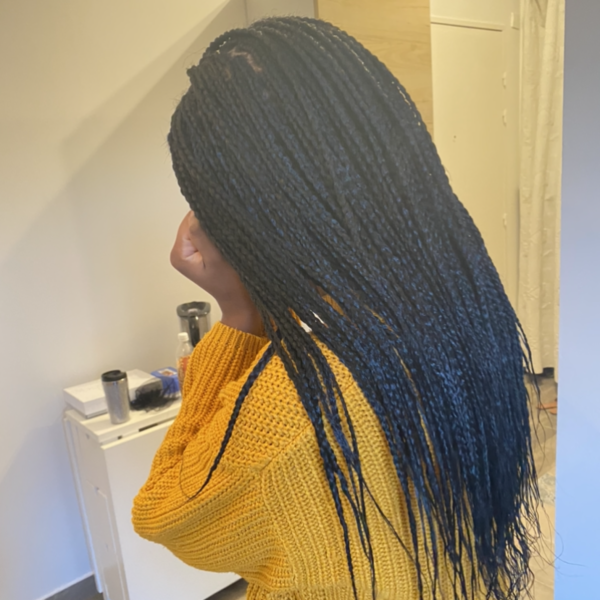 salon de coiffure afro tresse tresses box braids crochet braids vanilles tissages paris 75 77 78 91 92 93 94 95 KDJVDPPC
