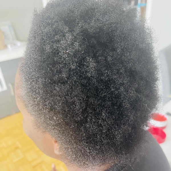 salon de coiffure afro tresse tresses box braids crochet braids vanilles tissages paris 75 77 78 91 92 93 94 95 BVPSZJLE