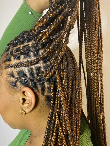 salon de coiffure afro tresse tresses box braids crochet braids vanilles tissages paris 75 77 78 91 92 93 94 95 JCMGJMAD