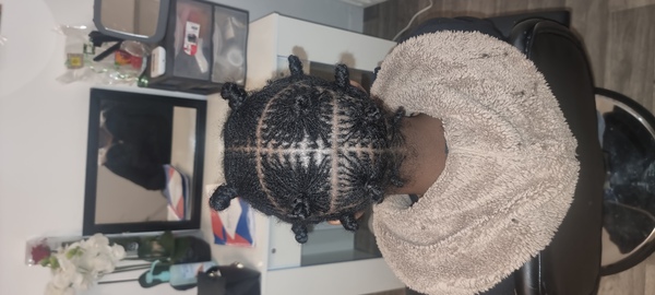 salon de coiffure afro tresse tresses box braids crochet braids vanilles tissages paris 75 77 78 91 92 93 94 95 PORWHQJO