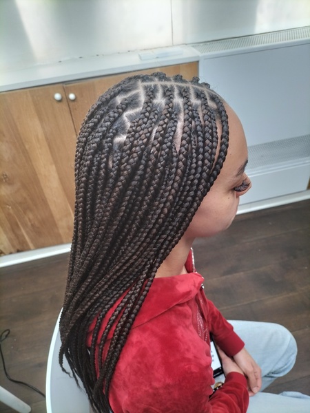 salon de coiffure afro tresse tresses box braids crochet braids vanilles tissages paris 75 77 78 91 92 93 94 95 SXFXMAOO