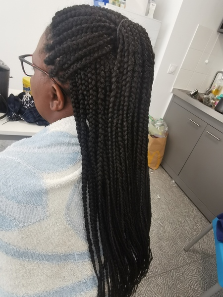 salon de coiffure afro tresse tresses box braids crochet braids vanilles tissages paris 75 77 78 91 92 93 94 95 LRKNFSXX