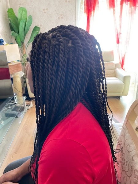 salon de coiffure afro tresse tresses box braids crochet braids vanilles tissages paris 75 77 78 91 92 93 94 95 CVGVEJSR