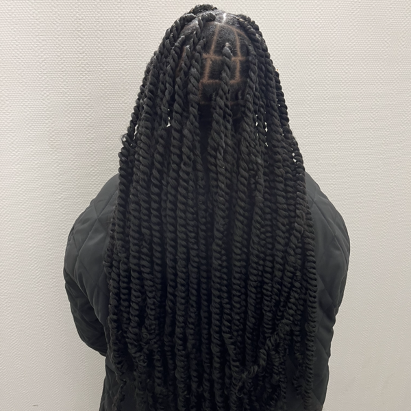 salon de coiffure afro tresse tresses box braids crochet braids vanilles tissages paris 75 77 78 91 92 93 94 95 MHMYICXE
