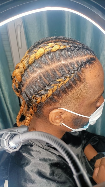 salon de coiffure afro tresse tresses box braids crochet braids vanilles tissages paris 75 77 78 91 92 93 94 95 AEWVATAV