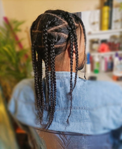 salon de coiffure afro tresse tresses box braids crochet braids vanilles tissages paris 75 77 78 91 92 93 94 95 GCAAZXQT