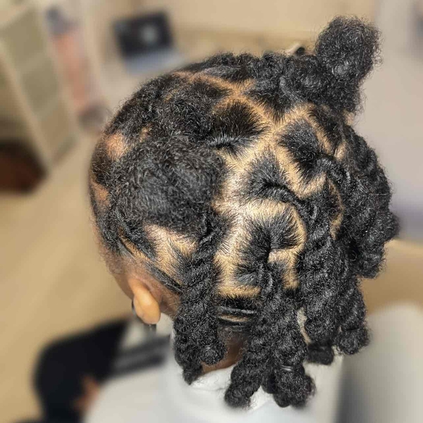 salon de coiffure afro tresse tresses box braids crochet braids vanilles tissages paris 75 77 78 91 92 93 94 95 LCVOOLXH