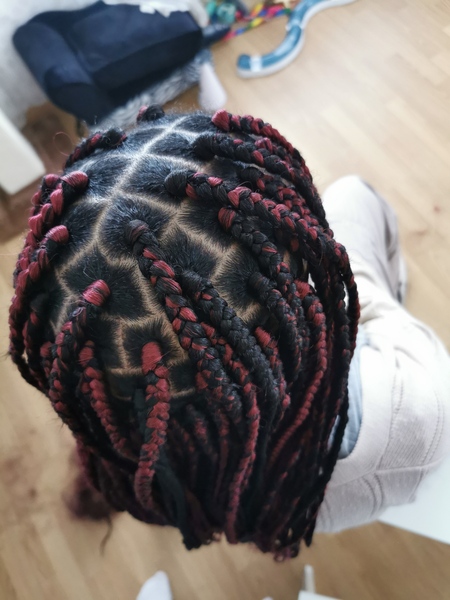 salon de coiffure afro tresse tresses box braids crochet braids vanilles tissages paris 75 77 78 91 92 93 94 95 ORZYQGAW