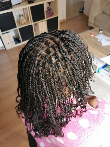 salon de coiffure afro tresse tresses box braids crochet braids vanilles tissages paris 75 77 78 91 92 93 94 95 BPEMVTZG