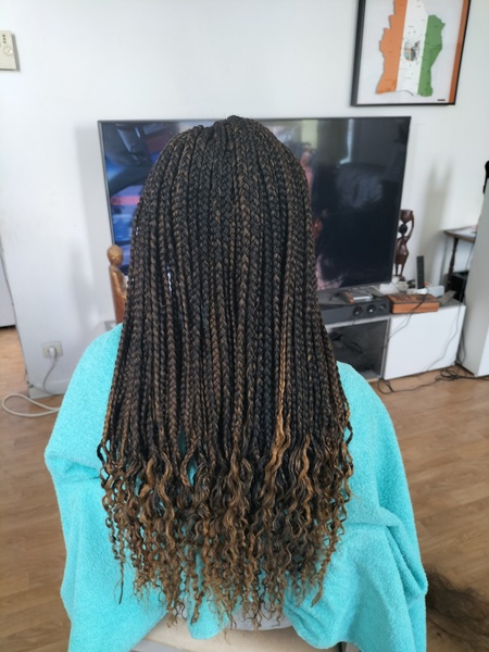 salon de coiffure afro tresse tresses box braids crochet braids vanilles tissages paris 75 77 78 91 92 93 94 95 BDLHCWGY
