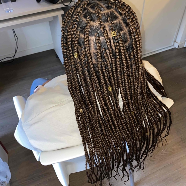 salon de coiffure afro tresse tresses box braids crochet braids vanilles tissages paris 75 77 78 91 92 93 94 95 DDJLZMAB