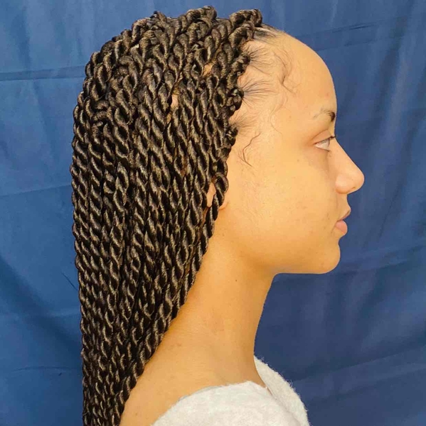 salon de coiffure afro tresse tresses box braids crochet braids vanilles tissages paris 75 77 78 91 92 93 94 95 LUOKMUYZ