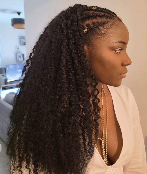 salon de coiffure afro tresse tresses box braids crochet braids vanilles tissages paris 75 77 78 91 92 93 94 95 ABSVQWGR