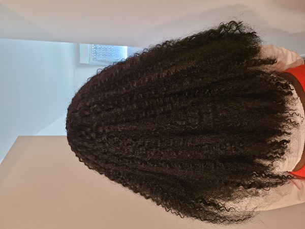 salon de coiffure afro tresse tresses box braids crochet braids vanilles tissages paris 75 77 78 91 92 93 94 95 MPIVQUYU