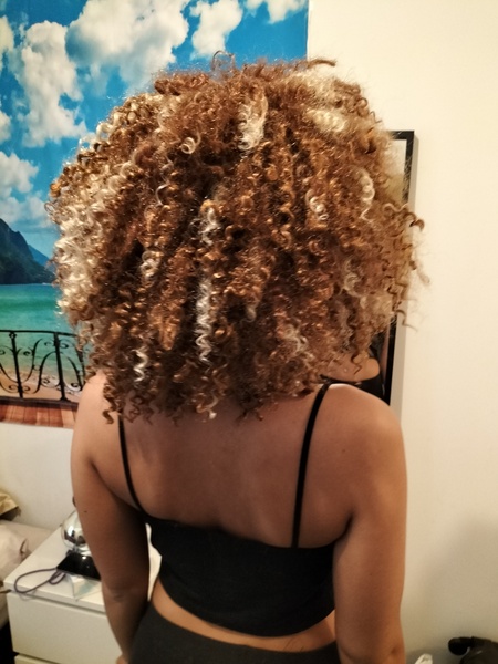 salon de coiffure afro tresse tresses box braids crochet braids vanilles tissages paris 75 77 78 91 92 93 94 95 LOGBOZEG