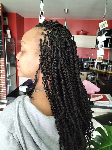 salon de coiffure afro tresse tresses box braids crochet braids vanilles tissages paris 75 77 78 91 92 93 94 95 HOGHRCZK