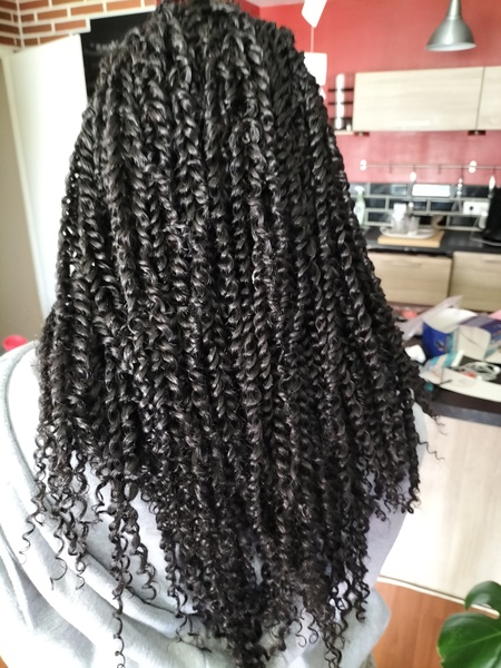 salon de coiffure afro tresse tresses box braids crochet braids vanilles tissages paris 75 77 78 91 92 93 94 95 JETCOJKB