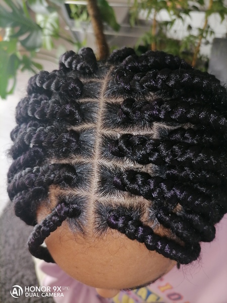 salon de coiffure afro tresse tresses box braids crochet braids vanilles tissages paris 75 77 78 91 92 93 94 95 QALLESVQ