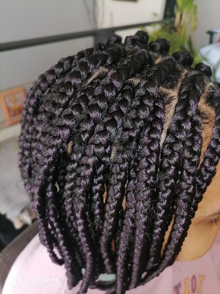 salon de coiffure afro tresse tresses box braids crochet braids vanilles tissages paris 75 77 78 91 92 93 94 95 ZRQVJNRT