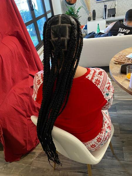 salon de coiffure afro tresse tresses box braids crochet braids vanilles tissages paris 75 77 78 91 92 93 94 95 YSXVBNSB