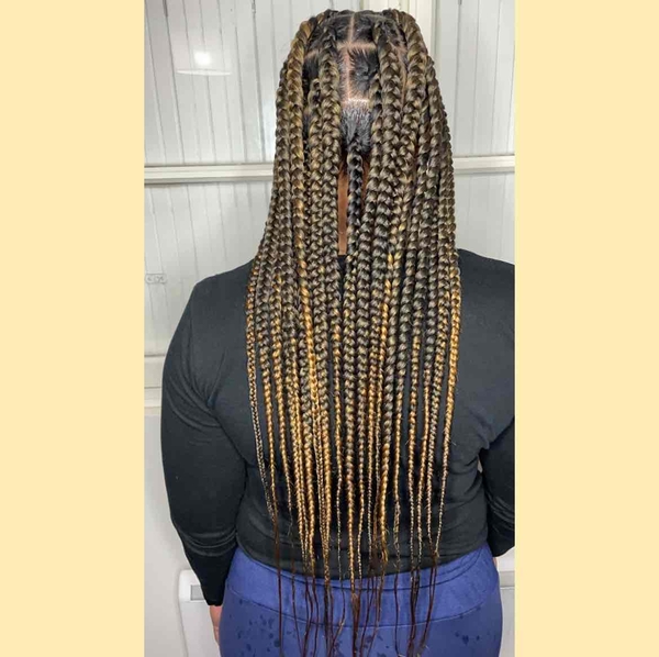 salon de coiffure afro tresse tresses box braids crochet braids vanilles tissages paris 75 77 78 91 92 93 94 95 ATRNFPLB